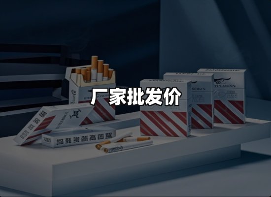 专业优势